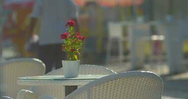 leeg tafel met bloem in straat cafe video