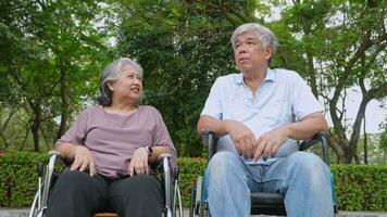 contento asiatico anziano coppia seduta nel sedia a rotelle e vecchio donna Tenere marito mani e parlando insieme e rilassante all'aperto nel il parco, tempo libero attività di pensionati, anziano Salute cura concetto. video