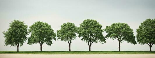 Set of green trees isolated on white background. Different kinds of tree collection. AI generated photo