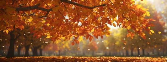 Autumn colorful bright leaves swinging in a tree in autumnal park. Autumn colorful background, fall backdrop. AI generated photo