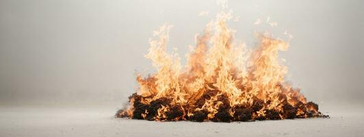 fuego llamas aislado en blanco antecedentes. ai generado foto