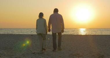 Senior casal abraçando de a mar às pôr do sol video