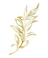 Botanical golden illustration of a leaves branch for wedding invitation and cards, logo design, web, social media and posters template. Elegant minimal style floral vector isolated