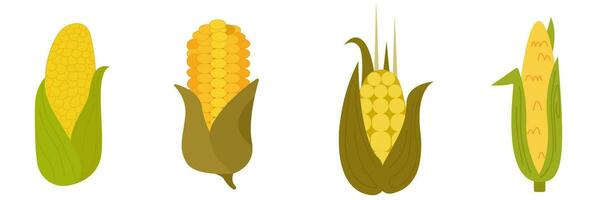 acción de gracias maíz símbolos - vector ilustración o icono colocar.