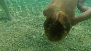 weinig jongen zwemmen onder de water naar nemen een schelp video