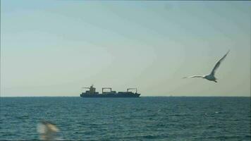 Cargo Ship in Sea video