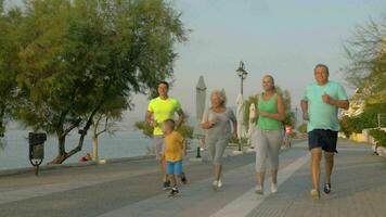 Big family running on road next to the sea video