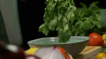 profesional cocinero lavados y prepara cilantro hojas. cerca arriba lento movimiento. video