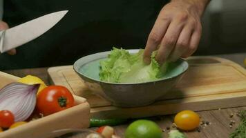 profissional chefe de cozinha prepara e lavagens repolho folhas. lento movimento video