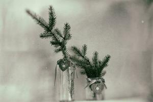 Christmas tree decoration in a decorative jug photo