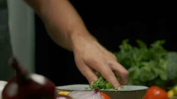 profesional cocinero lavados y prepara cilantro hojas. cerca arriba lento movimiento. video