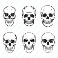 Vector Skull Bundle