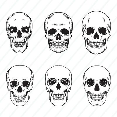 Vector Skull Bundle