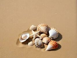 un grupo de mar conchas en un arenoso playa. ai generado foto