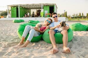 young attractive smiling couple having fun on beach playing with dogs photo