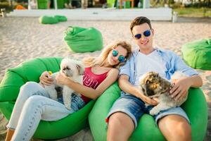 young attractive smiling couple having fun on beach playing with dogs photo