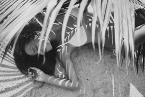 young skinny woman in white bikini swimwear holding leaf of palm tree photo