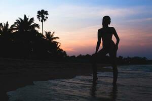joven hermosa Delgado mujer en pie en playa a amanecer, tropical vacaciones foto