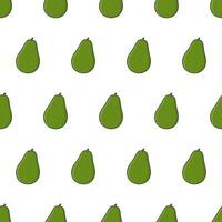 Fresh Avocado Seamless Pattern On A White Background. Avocado Fruit Vector Illustration