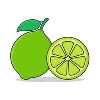 Lime Fruit Vector Icon Illustration. Whole And Slice Of Lime Flat Icon
