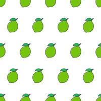 Fresh Lime Seamless Pattern On A White Background. Lime Fruit Vector Illustration