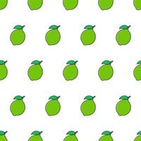 Fresh Lime Seamless Pattern On A White Background. Lime Fruit Vector Illustration