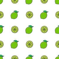 Lime Fruit Seamless Pattern On A White Background. Fresh Lime Vector Illustration