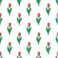 Tulips Seamless Pattern On A White Background. Flowers Theme Vector Illustration