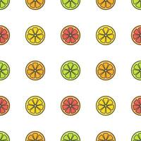 Citrus Fruit Seamless Pattern On A White Background. Fresh Orange, Grapefruit, Lemon, Lime Vector Illustration