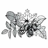 Hand-drawn composition of autumn leaves in doodle style. Vector illustration isolated on white background.