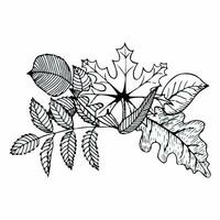 Hand-drawn composition of autumn leaves in doodle style. Vector illustration isolated on white background.