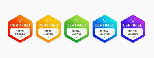 Digital license badge certified vector illustration. Colorful company or corporate training certification logo design.