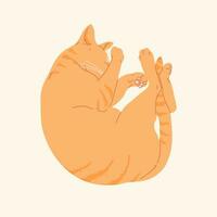 Cute ginger color cat sleeping view from above. Kitty asleep relaxing and hiding its nose between paws. Flat vector illustration isolated. Cosy pet image.