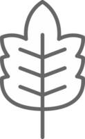 Leaf Vector Icon Design