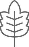 Leaf Vector Icon Design