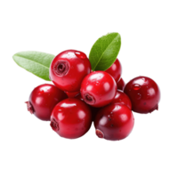 Cranberry isolated background AI Generative png