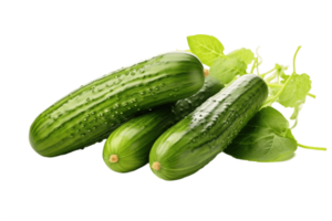 fresh green cucumber isolated AI Generative png