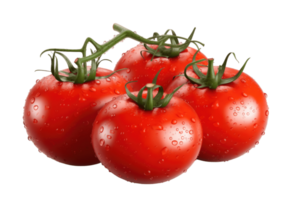 Ripe fresh organic tomatoes, isolated on transparent background AI Generative png