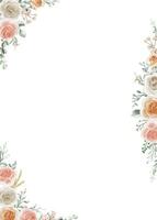 Shades of Peach, Soft Orange and White Roses Flower Frame Background vector