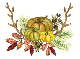 Aquarell botanisch Herbst und fallen Wald Elemente einstellen Hand gemalt Illustration Gouache png