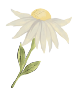 påsk kanin klotter vild blomma Anka mysigt stil vattenfärg ClipArt png