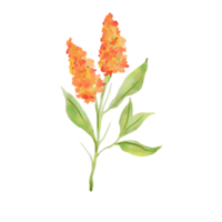 Pascua de Resurrección Conejo garabatear flor silvestre Pato acogedor estilo acuarela clipart png