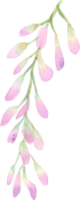 magnifique aquarelle glycine fleur bourgeon pétale illustration rose bleu et violet pastel Couleur bouquet feuillage Oriental jardin png