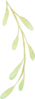 schön Aquarell Glyzinien Blume Knospe Blütenblatt Illustration Rosa Blau und lila Pastell- Farbe Strauß Laub orientalisch Garten png