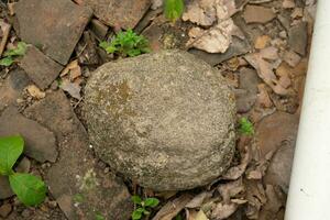 Round granite stones on forest photo