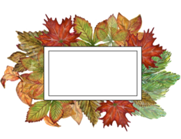 Template fall autumn invitation watercolor leaf foliage png