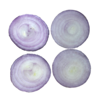 Sliced onion isolated png