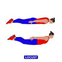 Vector Man Doing Locust. Salabhasana. Bodyweight Fitness Back Workout Exercise. An Educational Illustration On A White Background.