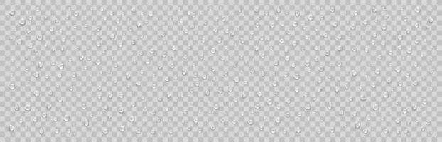 Realistic water drops isolated vector illustration set.