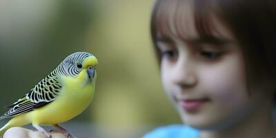 linda periquito polluelo en el mano de pequeño muchacha. concepto de mascota pájaro. foto